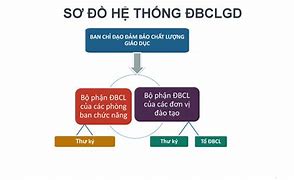 Chức Năng Phòng Khảo Thí Và Đảm Bảo Chất Lượng