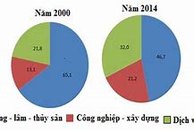 Chuyển Dịch Cơ Cấu Lao Động Tại Việt Nam