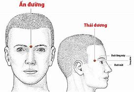 Cung Tử Tức Có Thái Dương Thái Âm