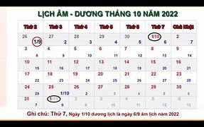 Giá Cá Tra Tháng 10/2022 Dương Lịch Bao Nhiêu Âm