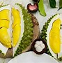 Mua Giống Sầu Riêng Musang King Ở Đầu Lào