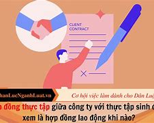 Thực Tập Sinh Có Cần Ký Hợp Đồng Không